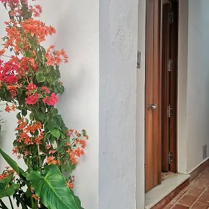 Erizo 3 Loft Diafáno En El Centro Histórico Apartamento