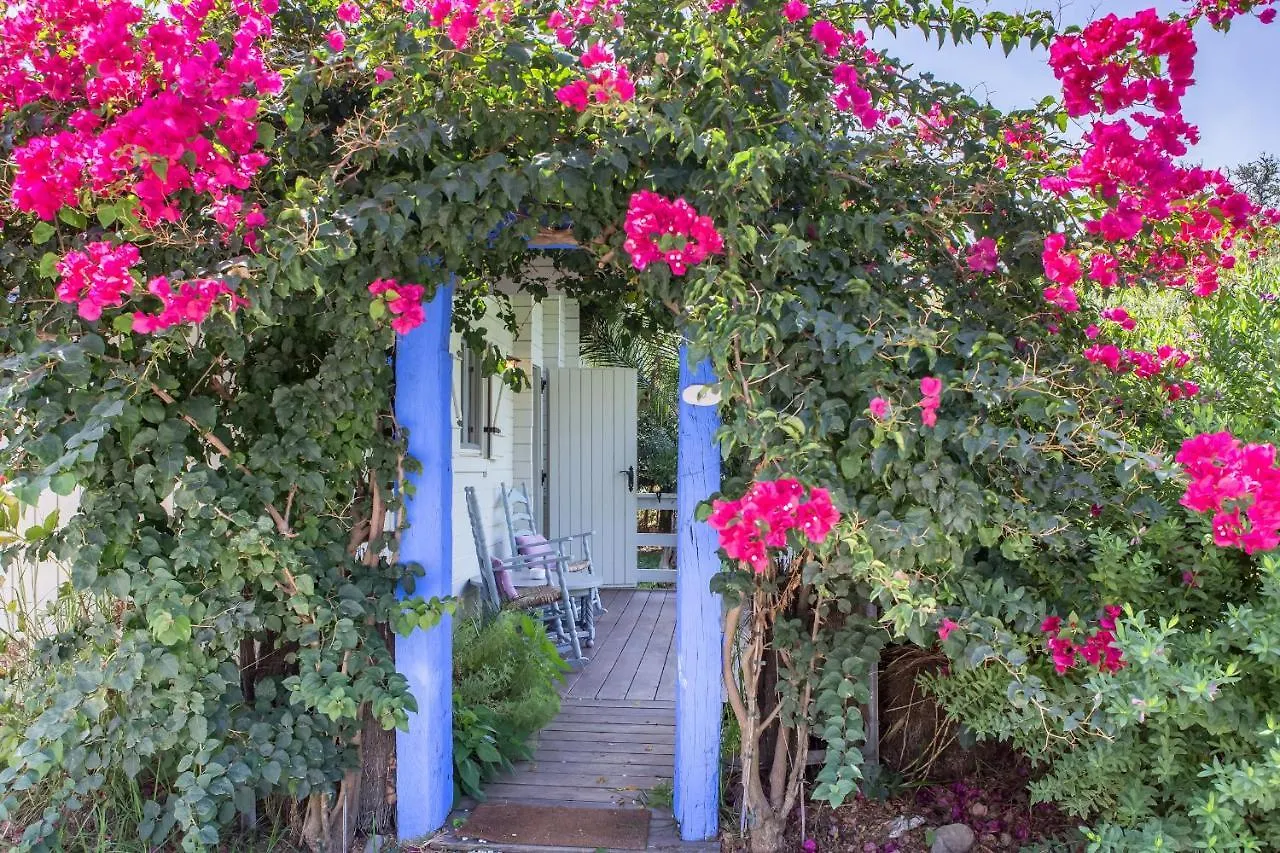 Meson De Sancho Hotel Tarifa Spain