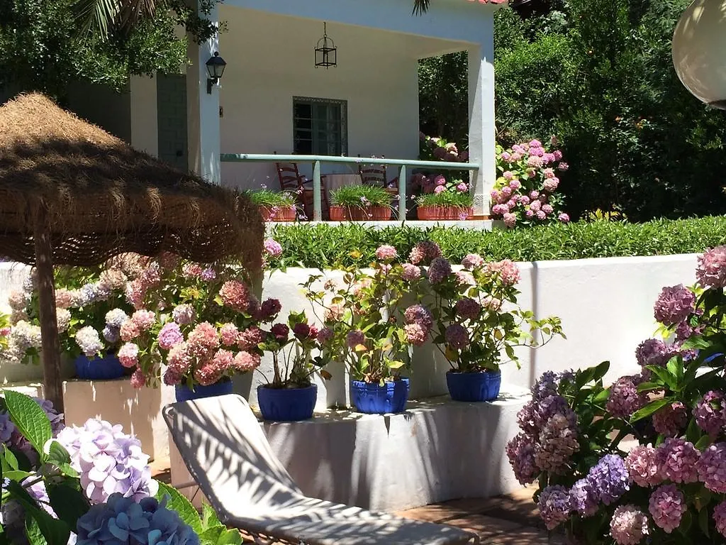 Meson De Sancho Hotel Tarifa